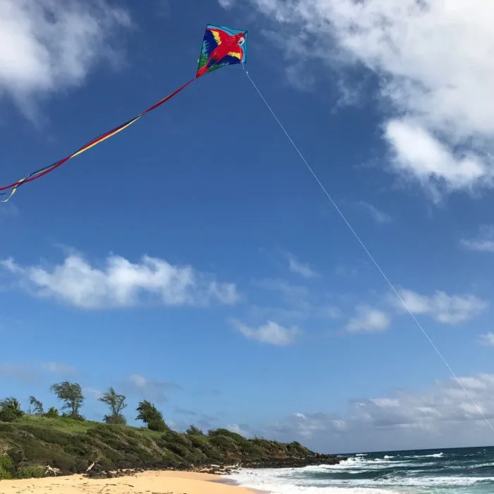 30" Parrot Diamond