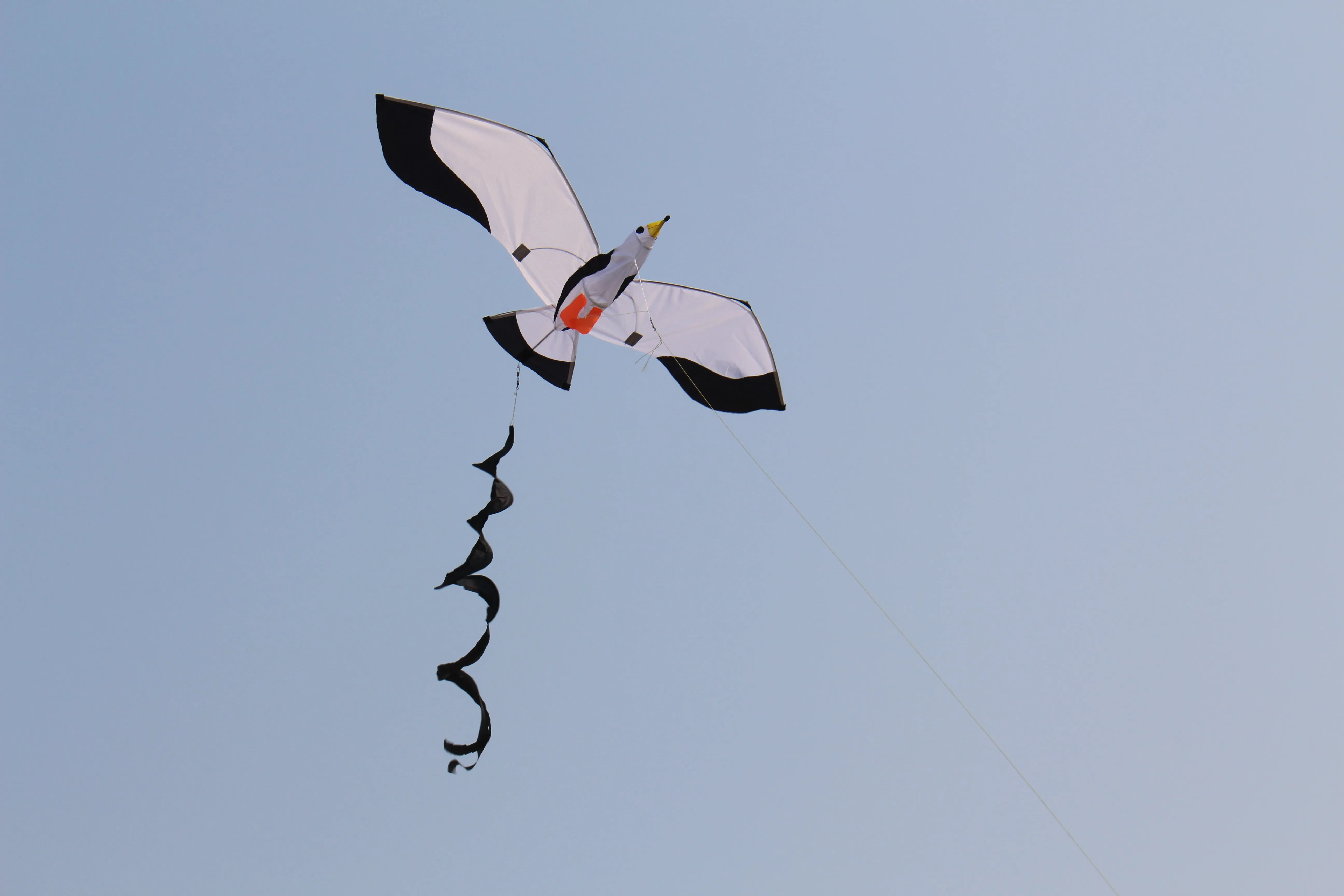 3D seagull animal kite