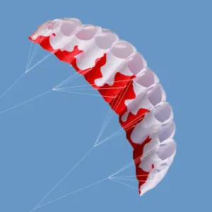 Dual line power kite-flame